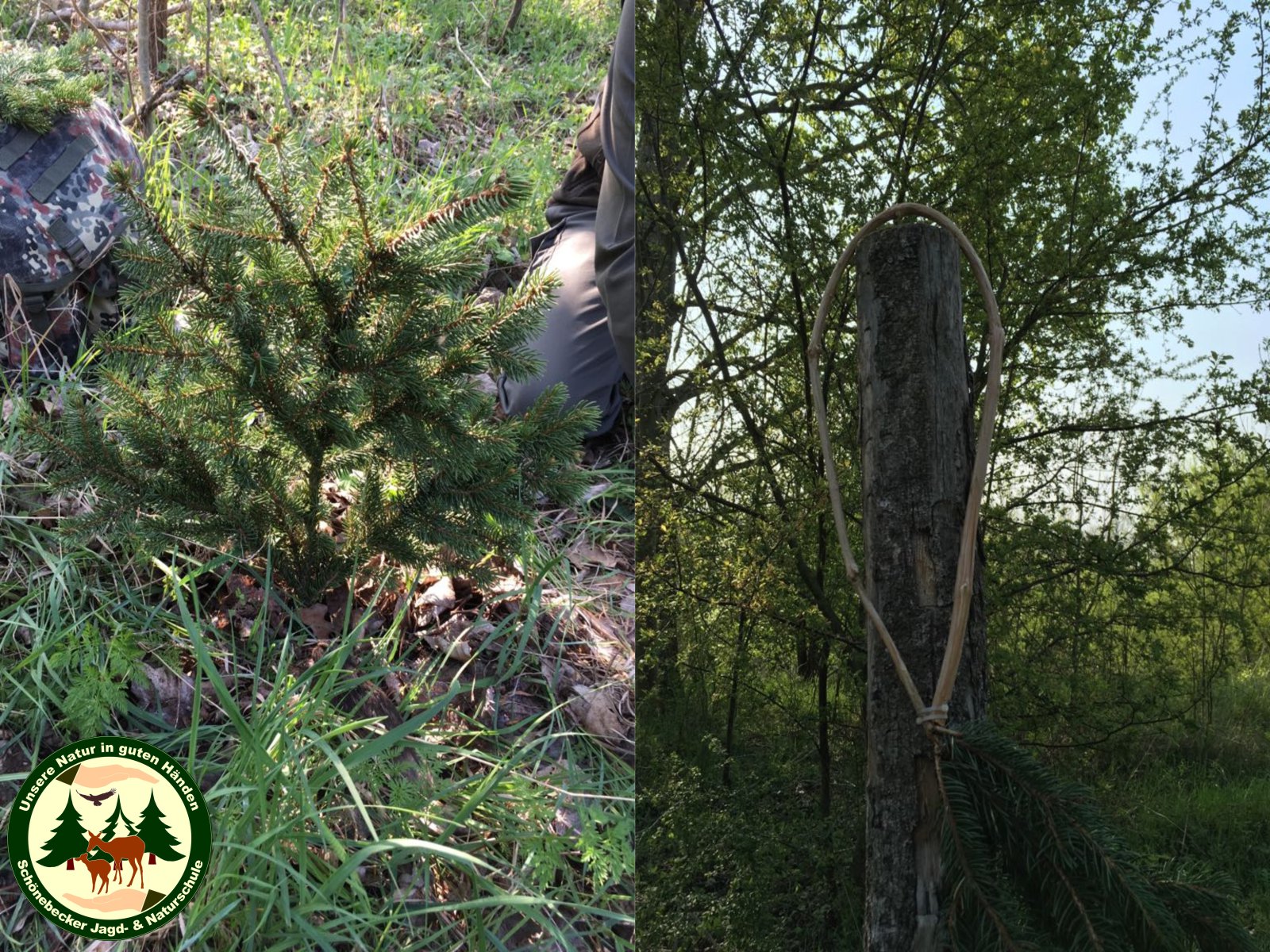 Website Bild Bruchzeichen 1.jpg